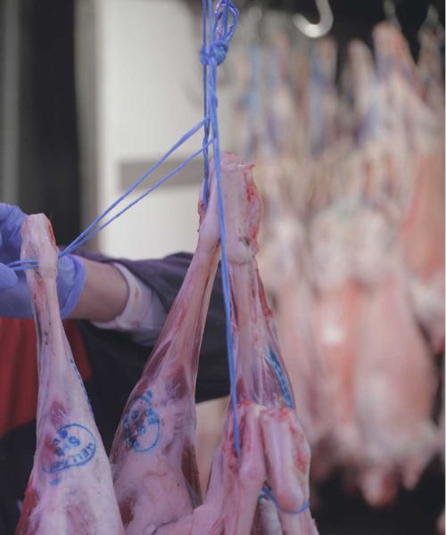 Χονδρεμπόριο αμνοεριφίων